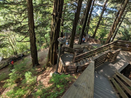 Cape Fox Lodge image 11