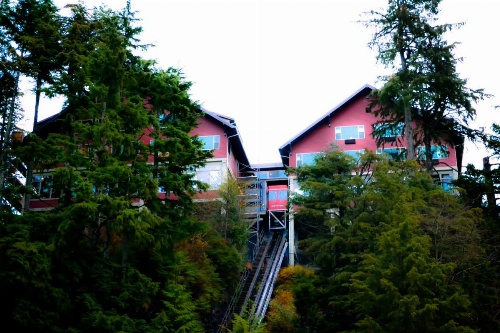 Cape Fox Lodge image 32