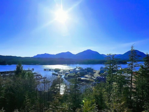 Cape Fox Lodge image 5